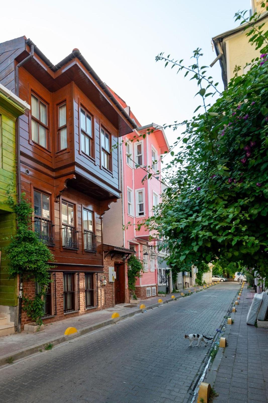 Brown Mansion Oldcity Istanbul Eksteriør bilde